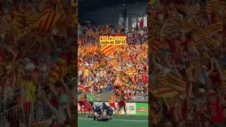 Miniature : TOP 14 - Access Match : Les Perpignanais joueront en TOP 14 la saison prochaine !