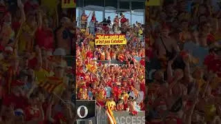 Miniature : TOP 14 - Access Match : Le public perpignanais a répondu présent 👊