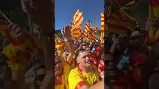 Miniature : TOP 14 - Access Match : Les Perpignanais mettent le feu pour l'arrivée du bus à Aix-en-Provence 🔥