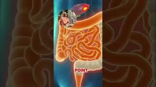 Miniature : the color of your poop 💩 is a sign of your health #live #facts #viral