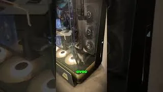 Miniature : COMPUTEX - L'ultra haut de gamme MSI est là !