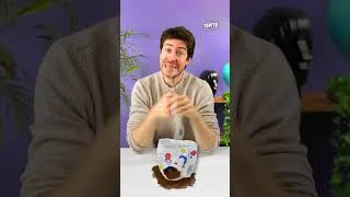 Miniature : On les fait toutes… mais la n°2 pique un peu 😅