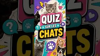 Miniature : 🐱 Spécial animaux : Les chats  #quiz #shorts #chat