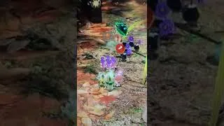 Miniature : Il m’a fait peur a sortir du sol comme ça #pikmin3