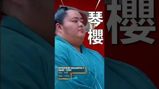 Miniature : Kotozakura remporte le tournoi de sumo de Paris 🇫🇷
