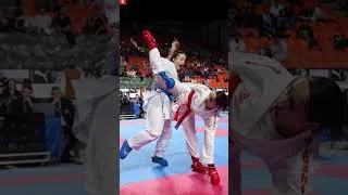 Miniature : Championnat de France combat seniors – Individuel et équipes