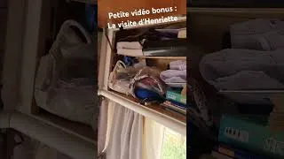 Miniature : La visite d'Henriette, notre maison sur roues 🏡