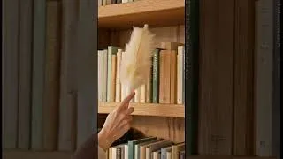 Miniature : Dépoussiérez les bibliothèques sans déplacer les livres à l'aide d'un plumeau #Shorts