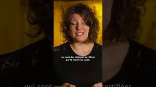 Miniature : Toutânkhamon l'Expérience Immersive Pharaonique - C'est quoi ?