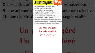 Miniature : les antonymes : الأضداد