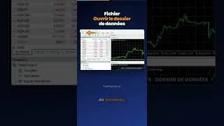 Miniature : Le dossier MT5 que tout le monde cherche (Experts, Indicators)