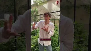 Miniature : Les traders regardent la courbe des taux, et non le taux lui-même !