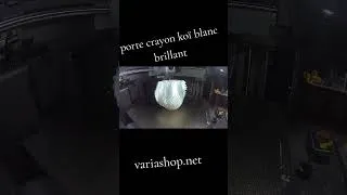 Miniature : Koï blanc