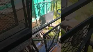 Miniature : le train vert