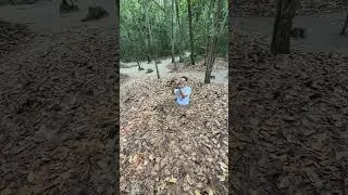 Miniature : أنفاق فيتنام 🇻🇳 😮 اللتي استعملت في الحرب ضد أمريكا