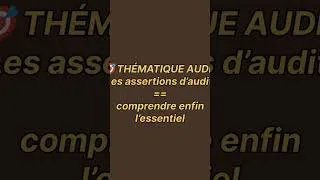 Miniature : Assertions d'audit