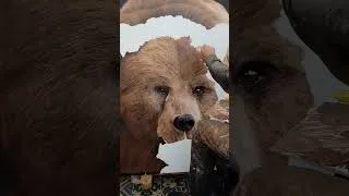 Miniature : L'ours
