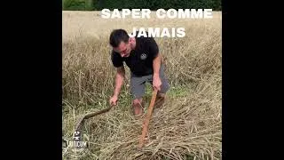Miniature : Saper comme jamais