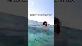 Miniature : POV : On te balance un concombre des mers et tu paniques... #POVReaction #Insta #Vacances#Egypte