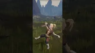 Miniature : THE WISHER