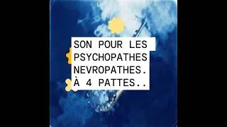 Miniature : SON DE PSYCHOPATHE POUR LES NEVROPATHES À QUATRE PATTES #phonk #freestyle #tryclo