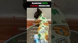 Miniature : RANKING PETS TAKING MEDECINE