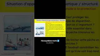 Miniature : Faut il vraiment protéger les baleines