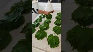 Miniature : Feuille de Vignes/ Asma yaprakları