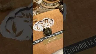 Miniature : Jour 22 calendrier de l’avent ​⁠ 2024 #calendrierdelavent #scrapbooking #waxstamp