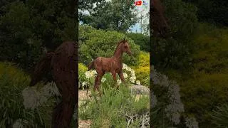 Miniature : QUIBERON  🇲🇫 Chevaux