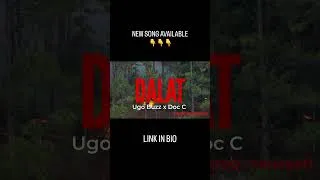 Miniature : NOUVEAU SON DISPO 🔥