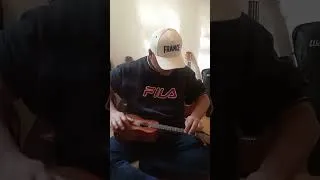 Miniature : Freestyle Ukulele