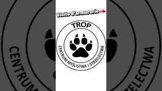 Miniature : visite d'armurerie en Pologne 🇵🇱 = Trop Centrum #tirsportif #shorts #shortvideo #tacticalgames #ipsc