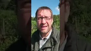 Miniature : Sans elle vous pourriez mourir de faim ! Comment elle transforme le soleil en aliments au jardin ?