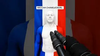 Miniature : Abonne-toi si tu m’aurais trouvé ! (Meccha Chameleon Maquillage)