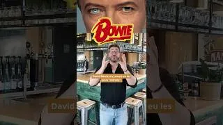 Miniature : FAKE ROCK NEWS : David Bowie
