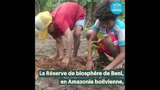 Miniature : Reforestation et réhabilitation des terres dégradées  - Réserve de biosphère du Beni