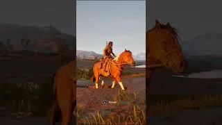 Miniature : Je suis livreur à Cheval 🐎