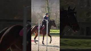 Miniature : Saut sous le soleil Picard☀️