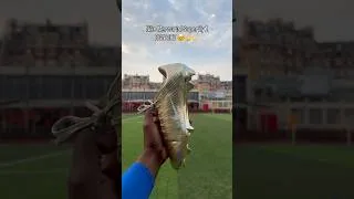 Miniature : Nike mercurial superfly 1 RGN CR7 !