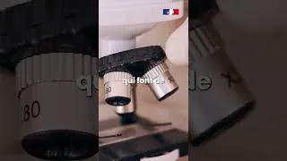 Miniature : [L'université Raconte] Clap de fin pour notre Rubrique !