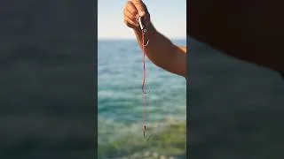 Miniature : Le montage Fireball Isula Bait !