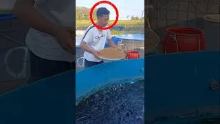 Miniature : Il Oublie de Nourrir Ses Poissons Pendant 2 Jours ! 😱