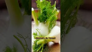 Miniature : Fenouil Bienfaits Propriétés Bienfaits des Plantes Légumes