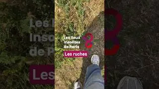 Miniature : #LIEUXINSOLITES - Les ruches