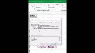Miniature : Sépare tes données en moins de 20 secondes #excel  #ExcelAstuces #ExcelRapide #formationexcel