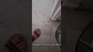 Miniature : Rdv ce soir à 18h Stop au Traffic de chien