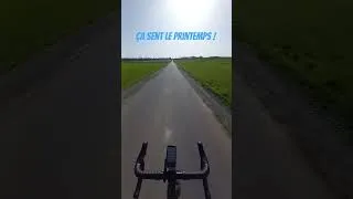 Miniature : On profite du soleil !