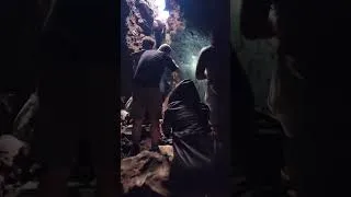Miniature : Les chauves-souris du volcan Telica (Nicaragua 2022)