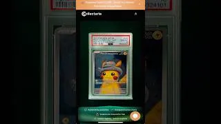 Miniature : Je vend un de mes deux pikachu